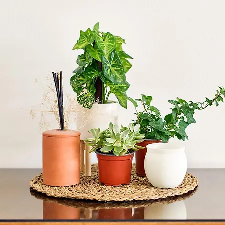 Anassa Private Pool Near * Πάφος