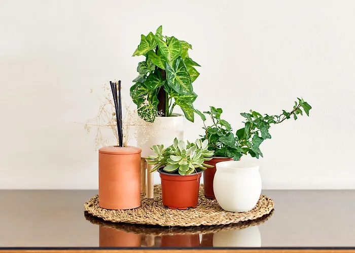 Anassa Private Pool Near * Paphos